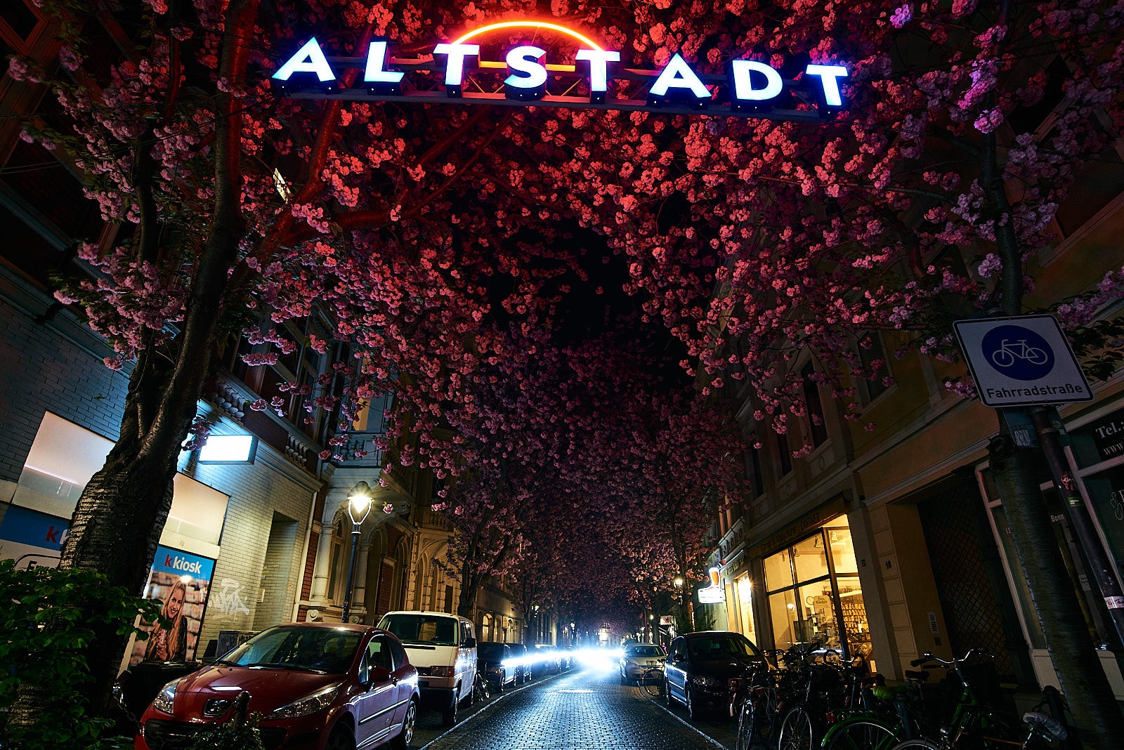 Kirschblüten am Bonner Altstadttor